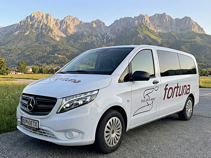 Mercedes Vito / Bild 1