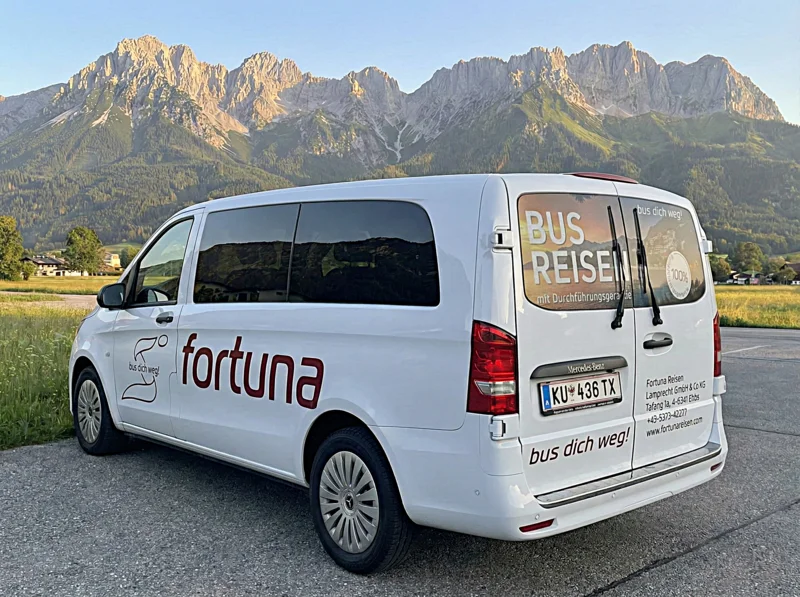 Mercedes Vito / Bild 2