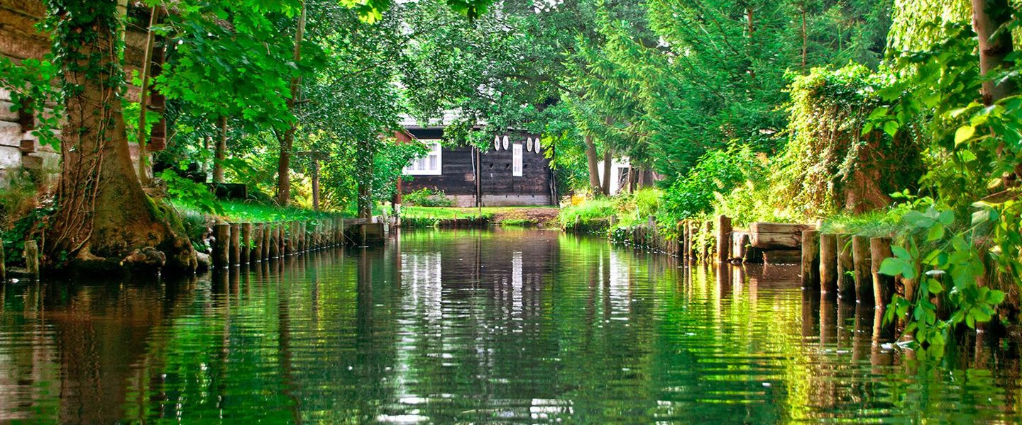 Hauptmerkmal ist die natürliche Flusslaufverzweigung der Spree, die durch angelegte Kanäle deutlich erweitert wurde. Als Auen- und Moorlandschaft besitzt sie für den Naturschutz überregionale Bedeutung und ist als Biosphärenreservat geschützt. Der S